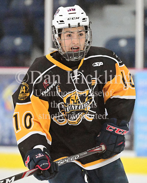 Anthony Roy Elite Prospects