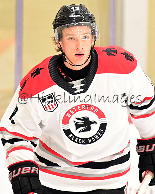 John Waldron Elite Prospects