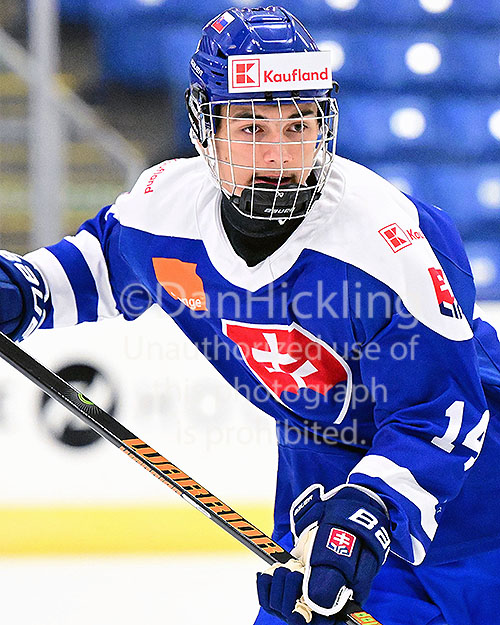 Christopher Tayler Podkonicky