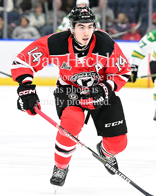 Nicolas Savoie Elite Prospects