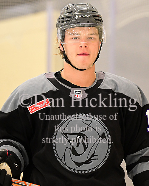 Tyler Catalano Elite Prospects