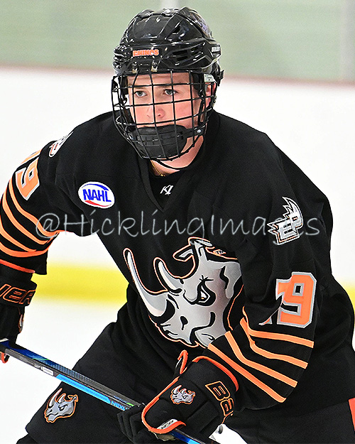 Graham Harris Stats & Facts Elite Prospects