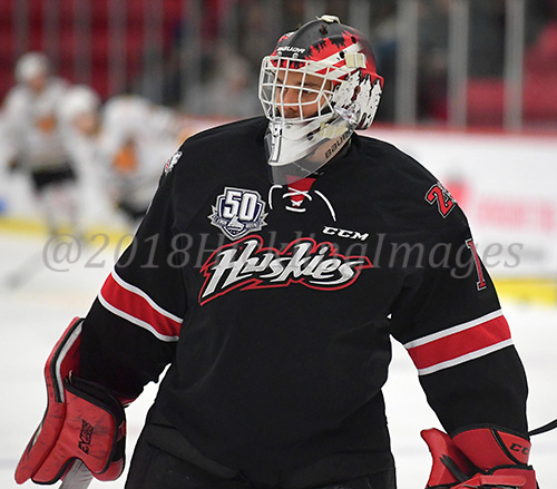 Samuel Harvey Stats & Facts Elite Prospects