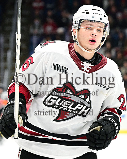 Max Namestnikov Stats Contract Salary More