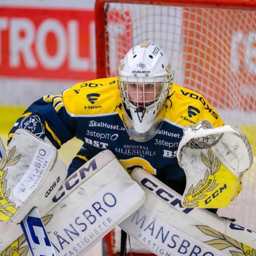 Vilmer Salén Forsberg Stats, Contract, Salary & More