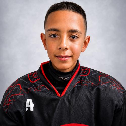 Michal Hanuliak