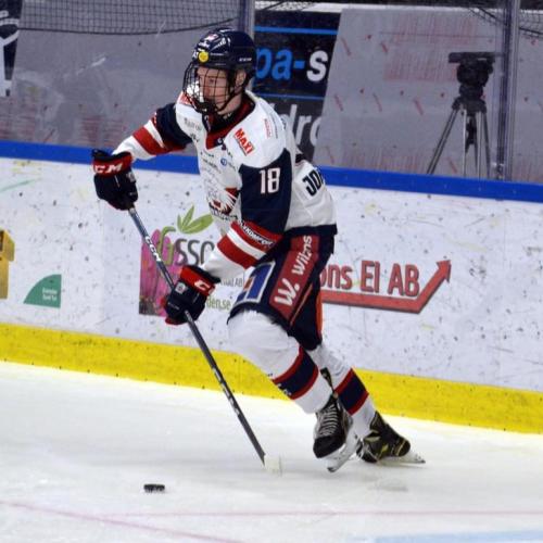 Hugo Johansson Stats & Facts Elite Prospects