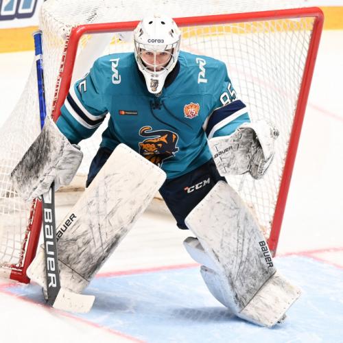 Daniil Bryzgalov