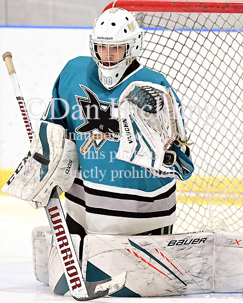 Alexander Lebedev - Elite Prospects