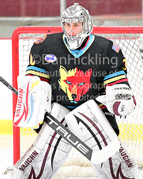 © Photo: Dan Hickling