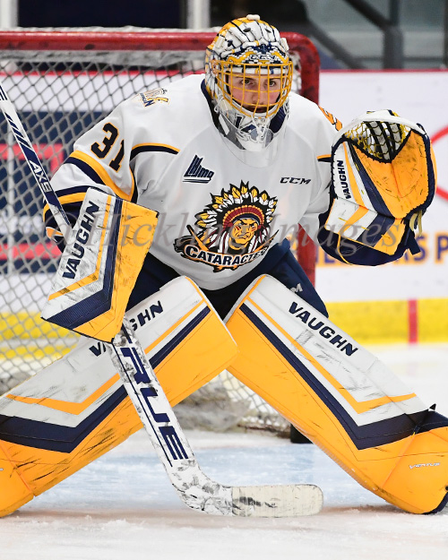 CharlesAntoine Lavallée Elite Prospects