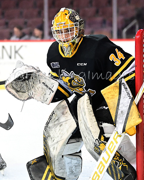 Anson Thornton Elite Prospects