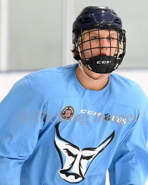 Peterson Elite Prospects