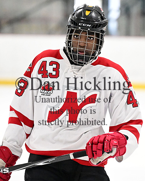 Harry Nansi Hockey at Joel Herrera blog