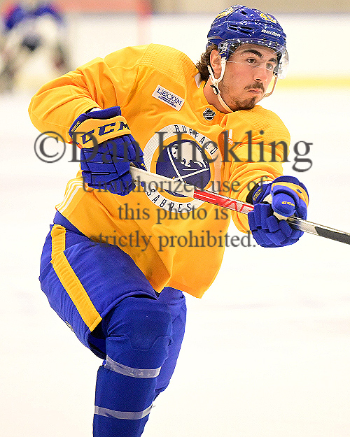 Nicolas Savoie Stats & Facts Elite Prospects