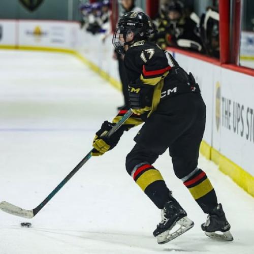 Constantine Tselikis