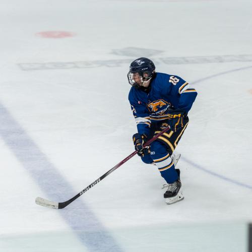 Niko Lessard