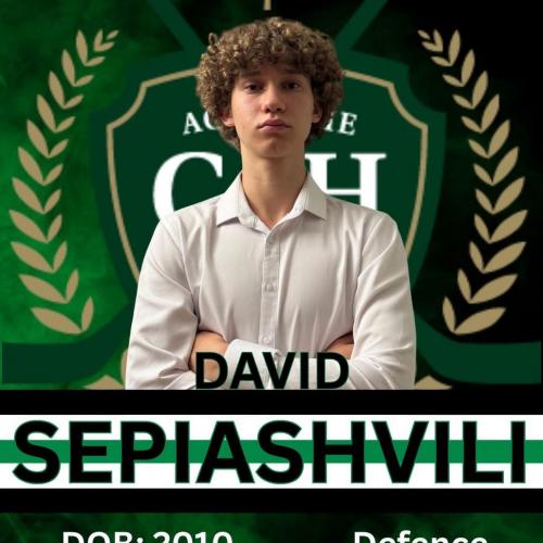 David Sepiashvili