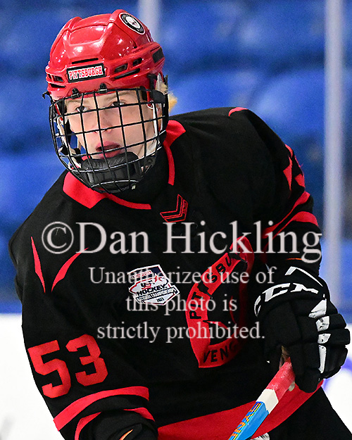 Sean Miller - Stats & Facts - Elite Prospects