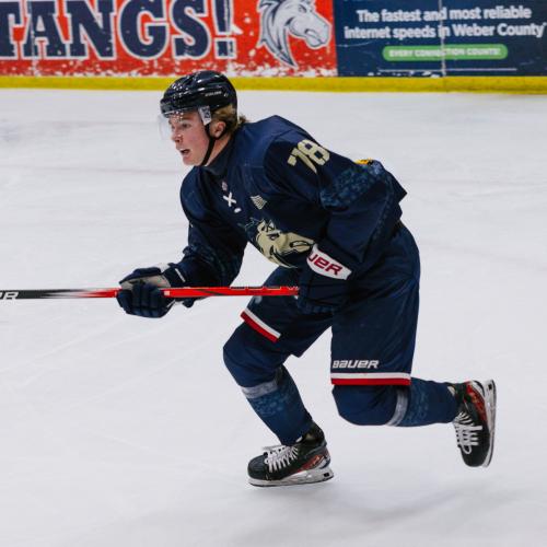 Hudson Weber-Stewart