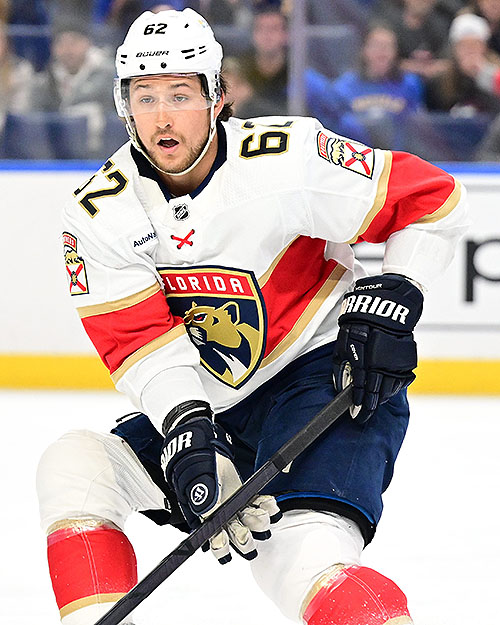 Brandon Montour Stats, Contract, Salary & More