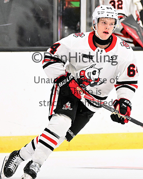 Chase Hull