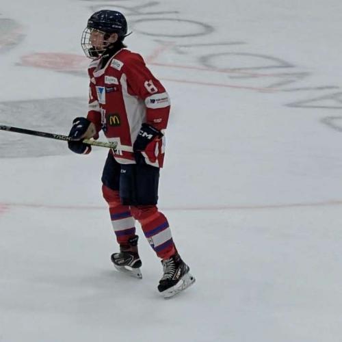 Linus Johan Eidsa Arnestad