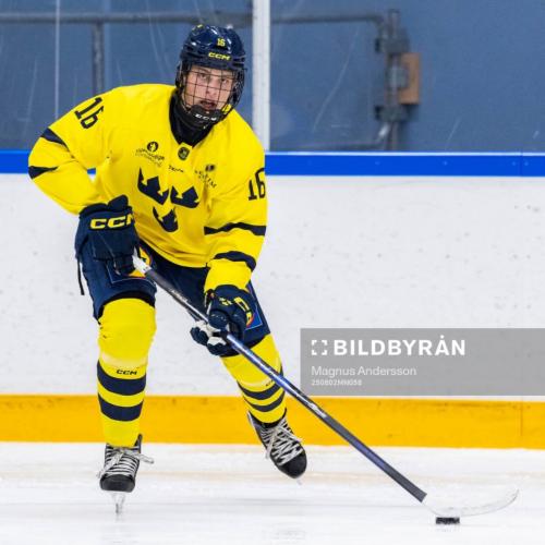 Wille Andersson Jöhnk