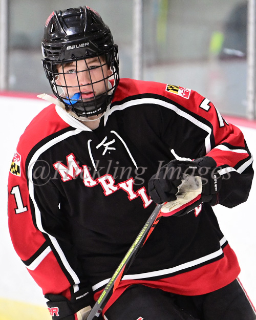 Nathan Whipkey Elite Prospects