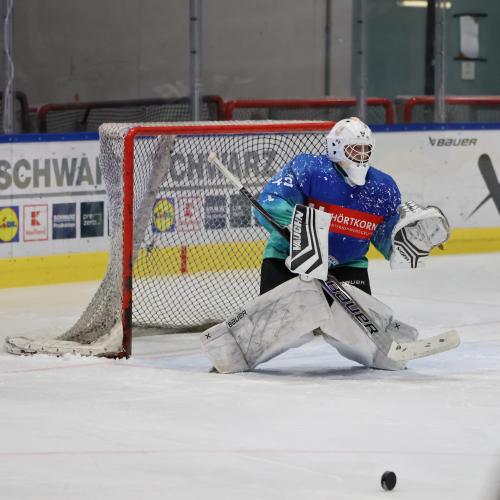 © Photo: Eisbären Heilbronn