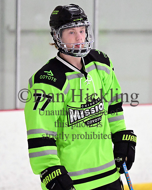 Shaeffer GordonCarroll Elite Prospects