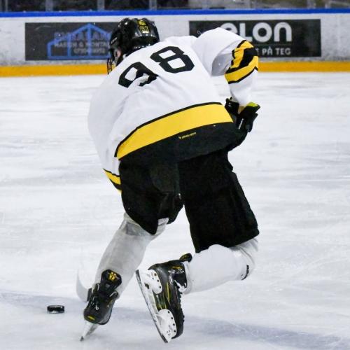 Vincent Dahl Franzén