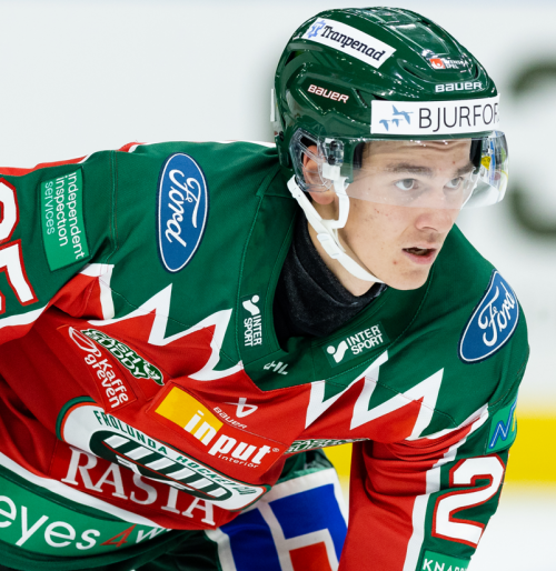 Pontus Johansson Stats & Facts Elite Prospects