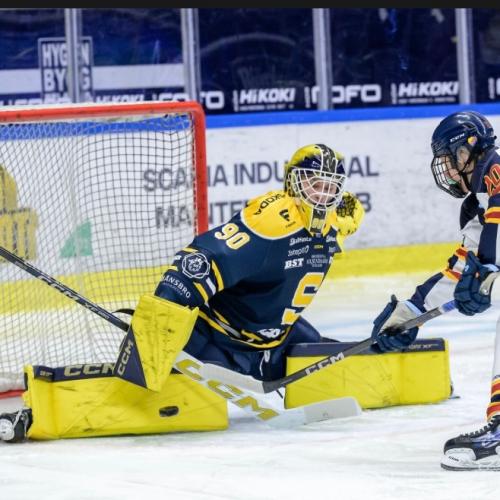 Vilmer Salén Forsberg