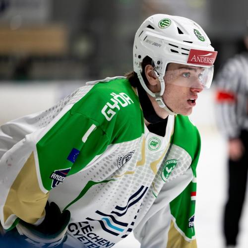 Miklós Barabás Wenner