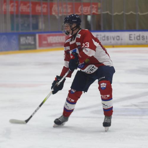 Sondre Bjørkum Westergård