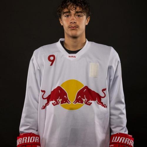 Ian Luca Scheerschmidt