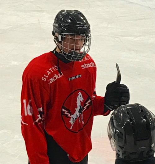 Hugo Johansson Elite Prospects