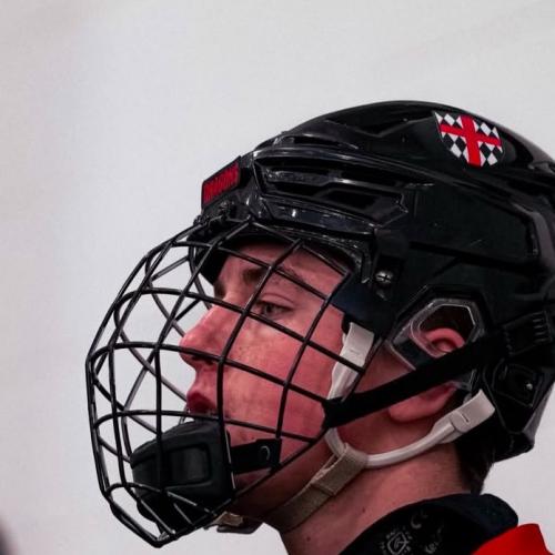 Brayden Erickson