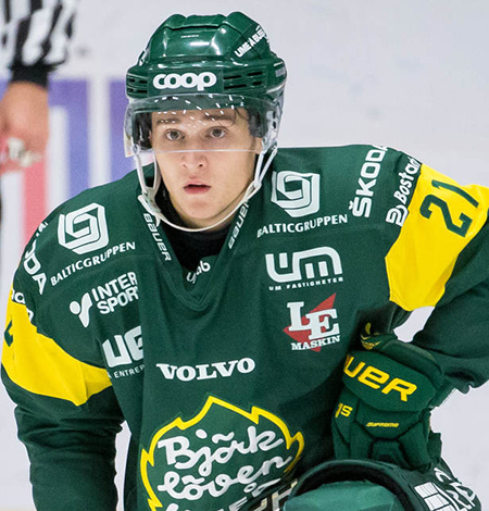 Bildresultat för erik rainersson