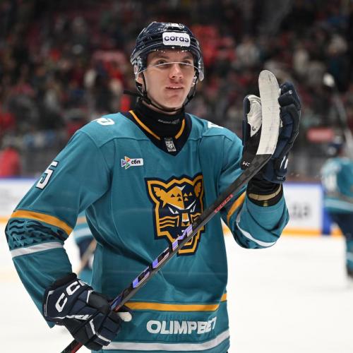 Alexander Sapozhnikov