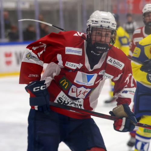 Vebjørn Olasveen Holen