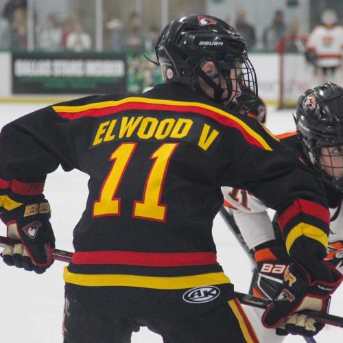 John Elwood V