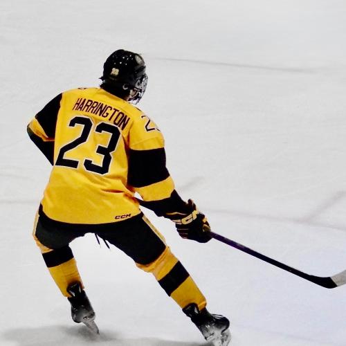 Chase Harrington