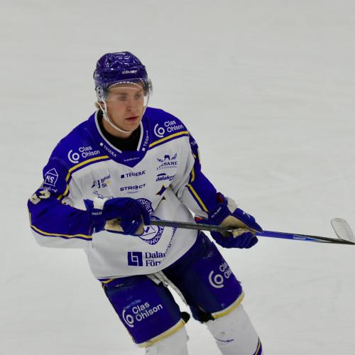 Gustav Svedlund