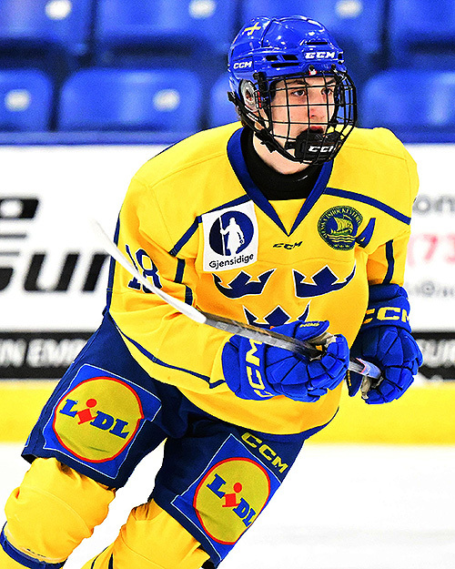 © Photo: Dan Hickling