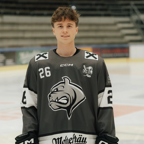 Dominik Schmollngruber