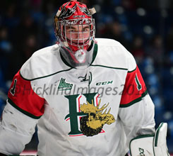 Alexis Gravel Elite Prospects