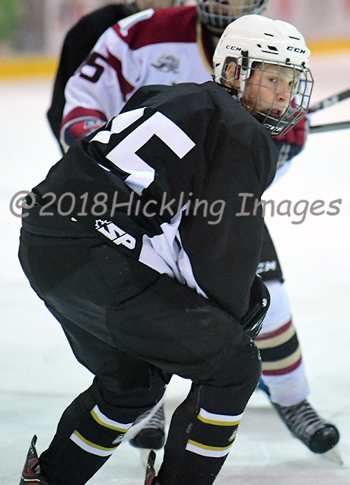 Félix Allard Elite Prospects