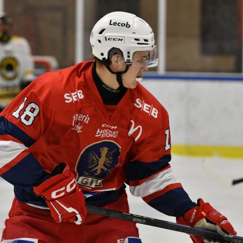 Arwid Eldh Gustavsson